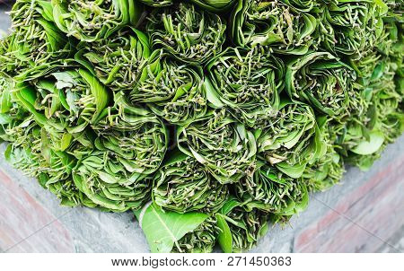 Betel Leaves, Piper Betle, On Sale For Medicinal Use And As Mild Stimulant In Kathmandu, Nepal.