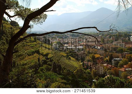 View To Meran, Position 