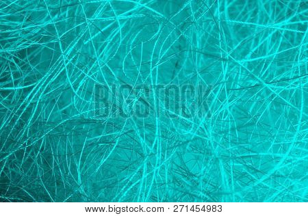 Texture Green Tangled Threads Like A Spider Web