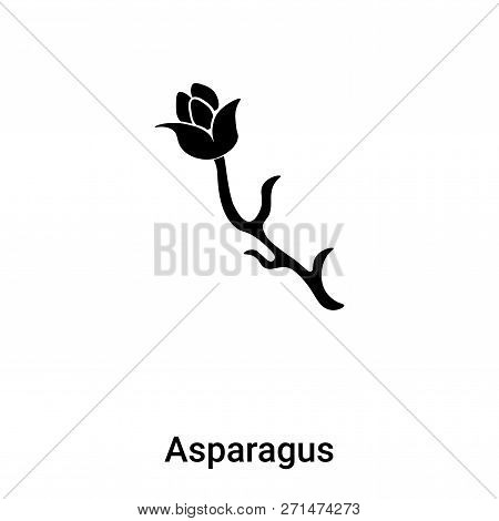 Asparagus Icon In Trendy Design Style. Asparagus Icon Isolated On White Background. Asparagus Vector