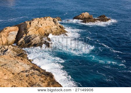 bella bearti selvaggio della Costa Brava, Spagna