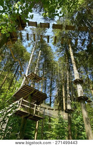 High Wire Adventure On The Forest Trail Through Grizedale Forest In The English Lake District