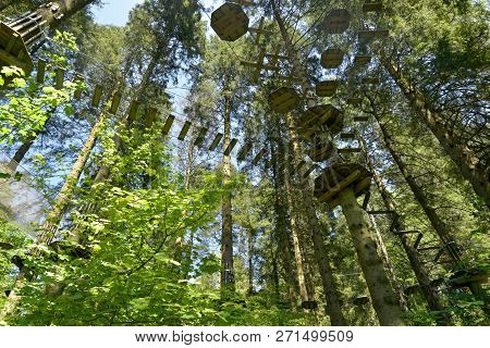 High Wire Adventure On The Forest Trail Through Grizedale Forest In The English Lake District