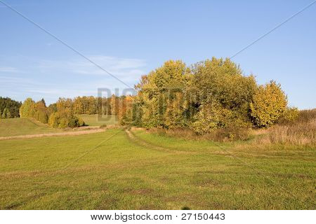 en smuk farverig efterår landskab
