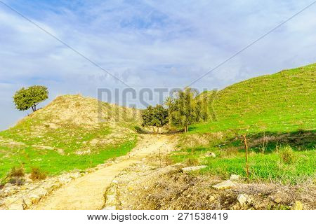 View Of The Tel Megiddo National Park. Northern Israel
