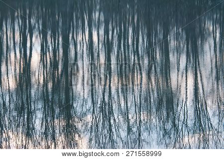 Trees Reflecting In The Water In Late Autumn, Dark Colors, Upside Down Photo, Misty Autumn Tranquil 