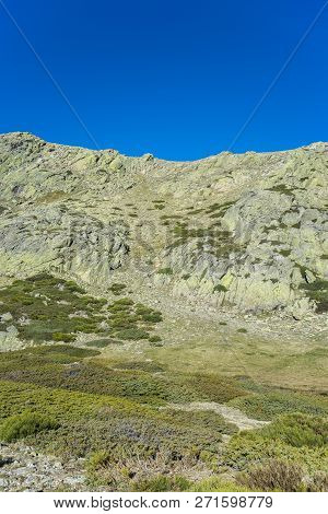 Padded Brushwood (cytisus Oromediterraneus And Juniperus Communis) Next To The Pico Del Nevero (snow