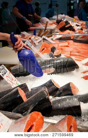 Fish Market, Fresh Fish In Street Market, Fresh Fish, Social Issue, Fish Market Street Market
