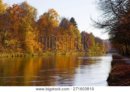 Autumn Landscape, Colorful Leaves On Trees, Morning At River. Colorful Leaves. Autumn Stream. Fall M