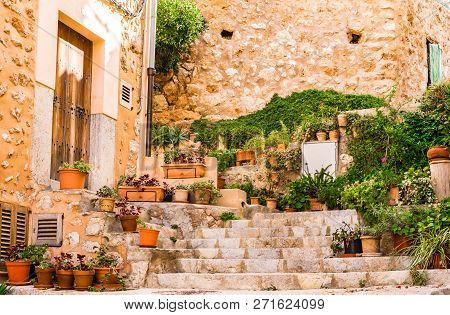 Traditional Plant Decoration On Majorca Island, Old Village Of Banyalbufar