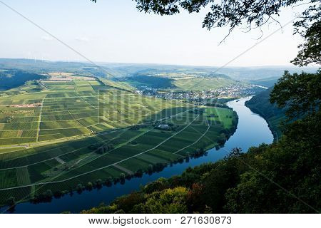 Panoramic View Of Moselle Valley In Germany. Vineyards And River Mosel In Trittenheim In Summer.