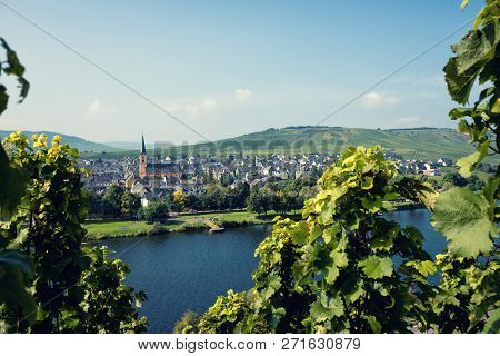 Panoramic View Of Moselle Valley In Germany. Vineyards And River Mosel In Trittenheim In Summer.