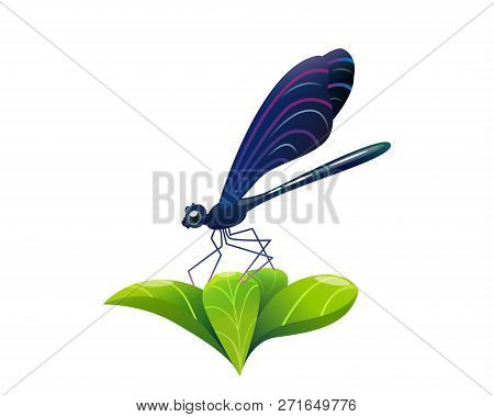 A Beautiful Dragonfly Sits On A Green Leaf. Isolated Illustration On White Background. Insect Is War