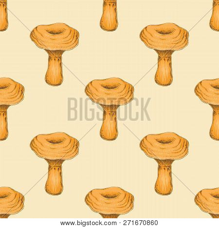 Seamless Pattern With Saffron Milk Cap. Edible Mushroom. Hand Drawn Illustration