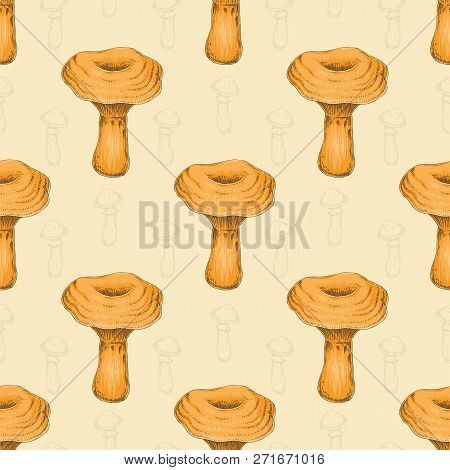 Seamless Pattern With Saffron Milk Cap And Edible Mushroom Contours. Hand Drawn Illustration