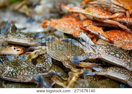 Horse Crab Background Thai Street Food Display