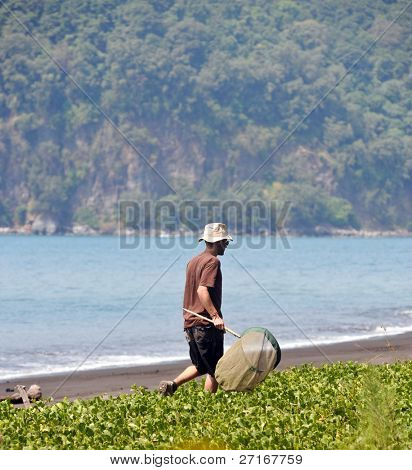 ANAK KRAKATAU, Indonésie - 8 srpna: výzkumník vyhledává motýli studium insec