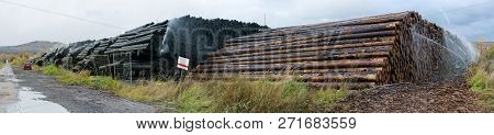 Wood Yard Business. Wood Stacked Outdoors. Concept Forest Industry Environment.
Felled Tree Trunks A