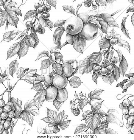 Hand Drawn Branches Of Fruits And Berries Isolated On White Background. Monochrome Seamless Pattern 