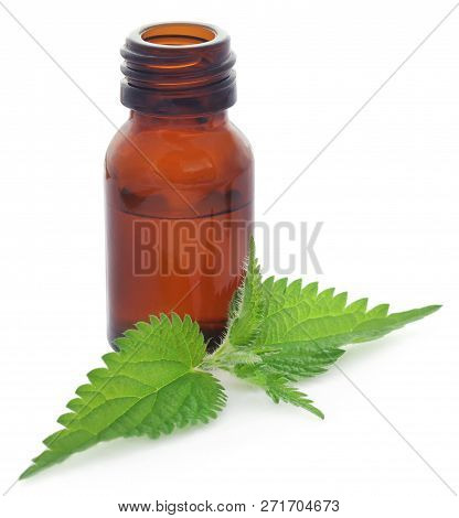 Nettle Leaves With Extract In A Bottle Over White Background