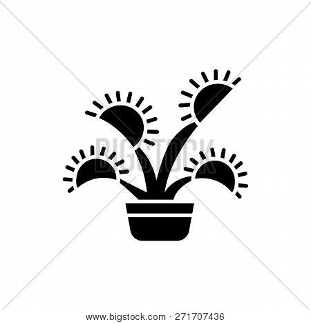 Black & White Vector Illustration Of Insect Eating Plant With Leaves In Pot. Flat Icon Of Decorative