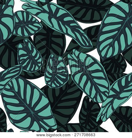 Seamless Tropical Pattern. Trendy Background With Rain Forest Plants. Vector Leaf Of Alocasia. Arace