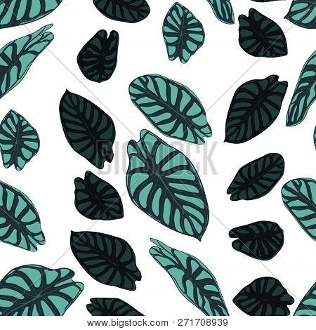Seamless Tropical Pattern. Trendy Background With Rain Forest Plants. Vector Leaf Of Alocasia. Arace