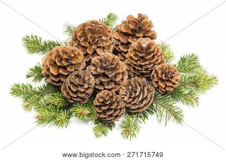 Pine Cones Isolated On A White Background