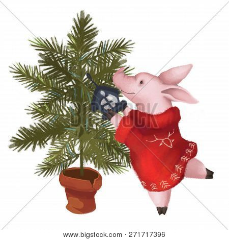 A Pig In A Sweater Dresses Up A Christmas Tree. New Year. Symbol Of The Year 2019. Isolated