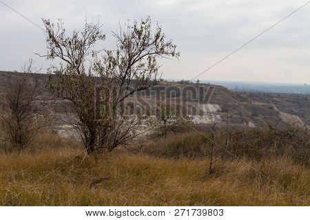 The Last Days In The Tavrian Steppe