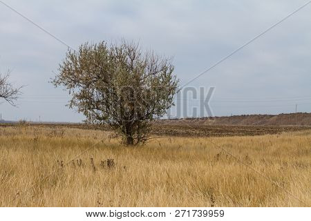 The Last Days In The Tavrian Steppe