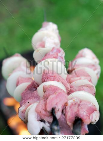 świeże snish kebab na szaszłyki