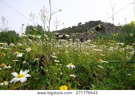 Ruined Walls Of Castle Over The Lake Bafa In A Nature Reserve Situated In Southwestern Turkey