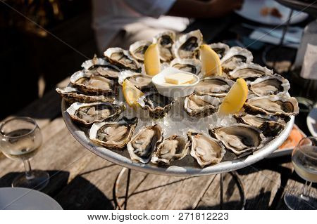 Delicious Oysters On The Plate On The Table