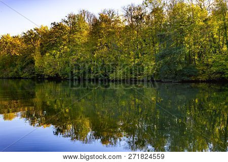 Forest At Oise River In Auvers-sur-oise Village