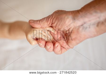 Hands Of Young Great-grandson And Old Great-grandmother. Happy Family Concept. Beautiful Conceptual 
