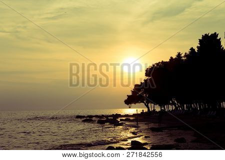 Silhouettes Of Trees Against The Background Of The Sunset And The Sea.