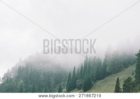 Thick Fog In Mountains With Copy Space On Mist. Vintage Foggy Landscape Of Majestic Nature In Faded 