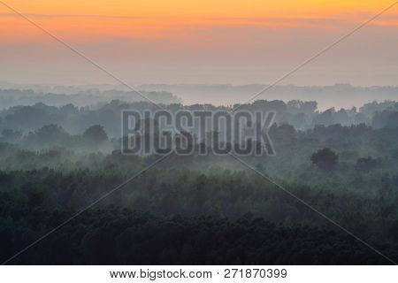 Mystical View From Top On Forest Under Haze At Early Morning. Mist Among Layers From Tree Silhouette