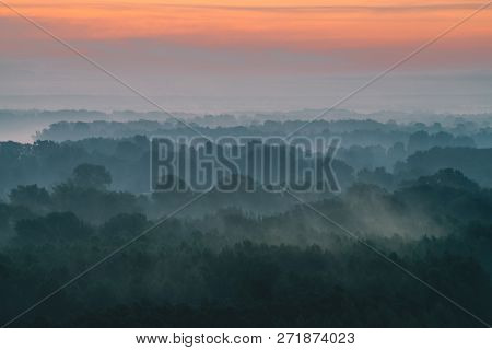 Mystical View From Top On Forest Under Haze At Early Morning. Mist Among Layers From Tree Silhouette