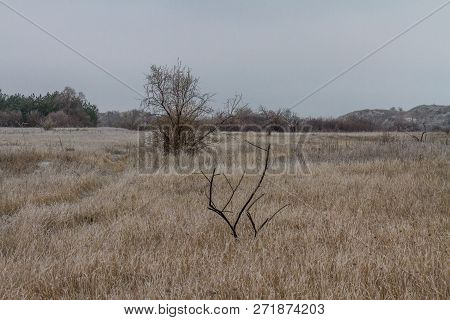 Tavrian Steppe Covered With Ice.