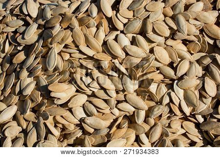 A Lot Of Seeds Large Pumpkin Seeds