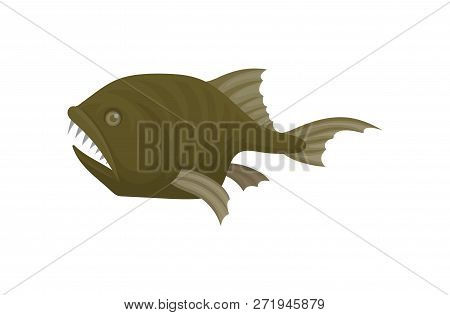 Small Monkfish With Sharp Teeth, Side View. Predatory Fish. Sea Animal. Marine Creature. Flat Vector