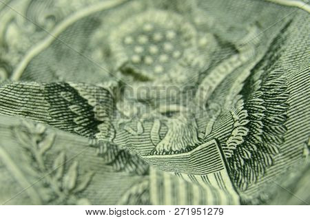 Shallow Depth Of Field Shot Of American Eagle, From The Us Coat Of Arms, On The Back Of The Dollar B