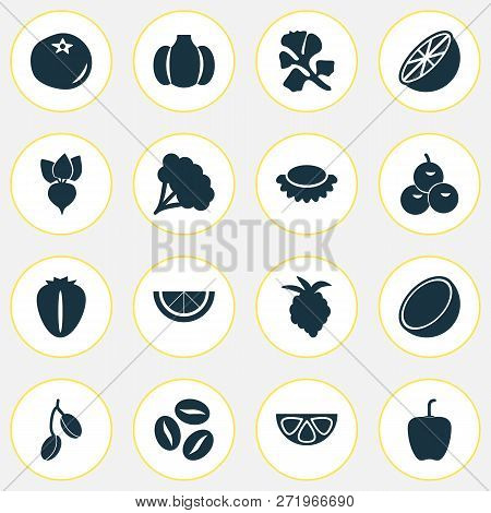 Food Icons Set With Olives, Cocoanut, Root And Other Bulgarian Pepper Elements. Isolated Vector Illu