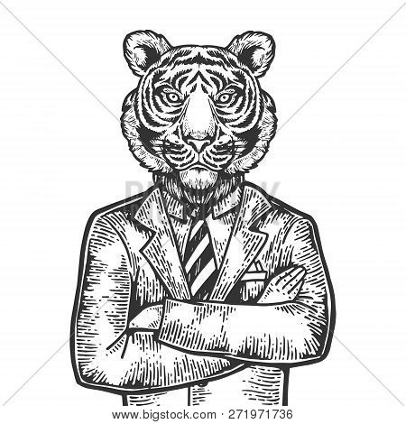 Tiger Head Businessman Engraving Vector Illustration. Scratch Board Style Imitation. Black And White