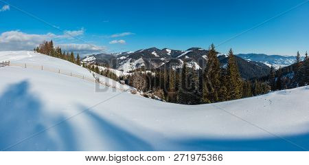 Winter Morning Picturesque Mountain Hill Top With Farmstead Snow Covered And Some Withered Windbreak