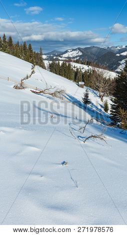 Winter  Morning Picturesque Mountain Hill Top With Farmstead Snow Covered And Some Withered Windbrea