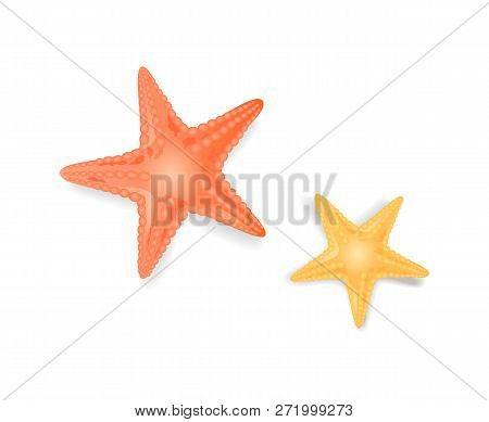 Starfish Sea Stars Closeup Isolated Icons Vector Set. Star-shaped Creature Dwelling In Sea Or Ocean,