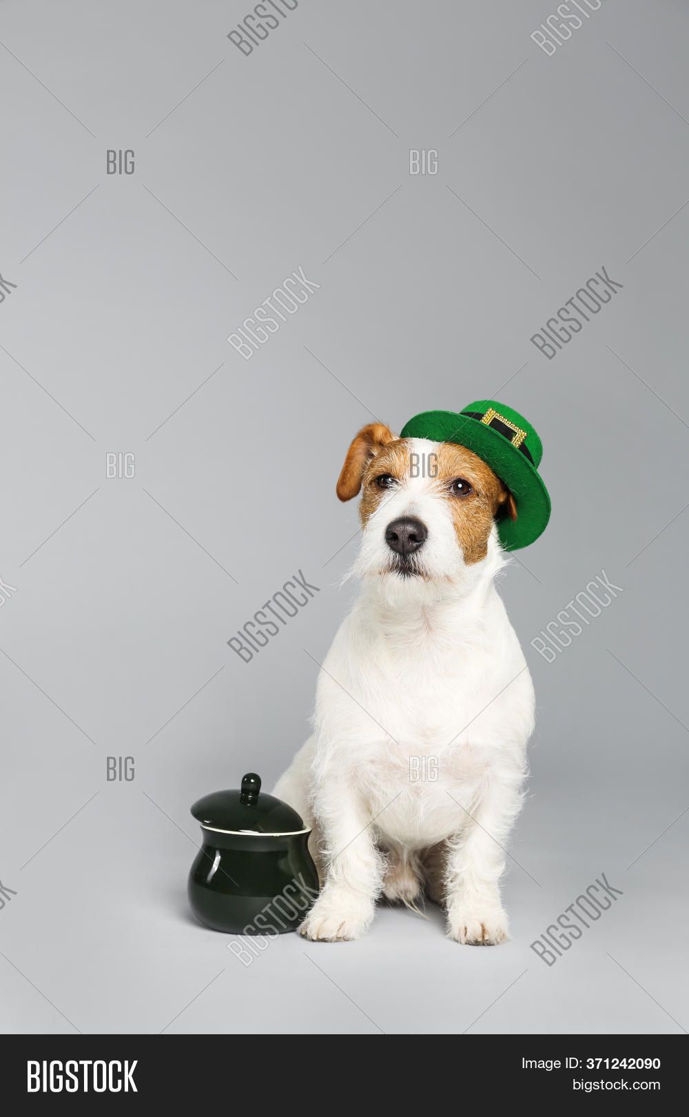 jack russell hat